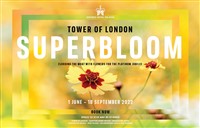 Tower of London Superbloom 2022